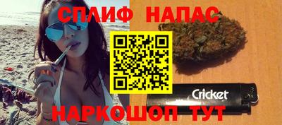 индика Абинск