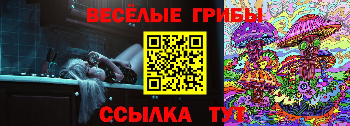 Галлюциногенные грибы Psilocybine cubensis  Вход с VPN  Семёнов 