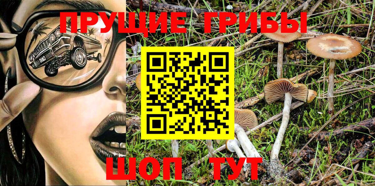 Галлюциногенные грибы MAGIC MUSHROOMS Семёнов