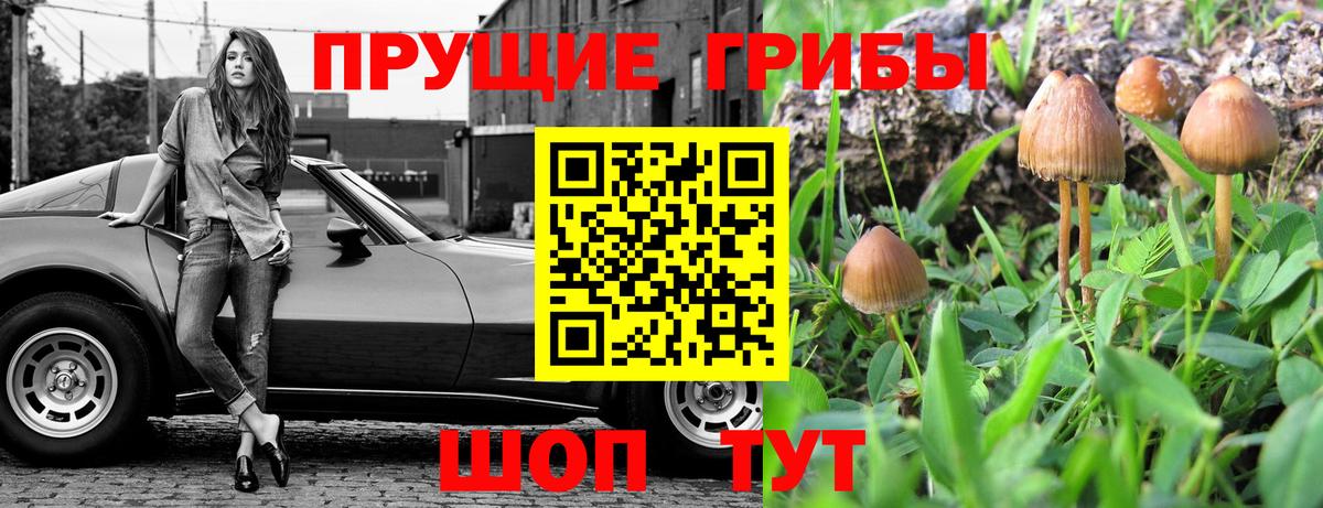 Псилоцибиновые грибы Magic Shrooms  Вход с VPN  Семёнов 